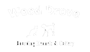 Wood Drove Boarding Kennels & Cattery